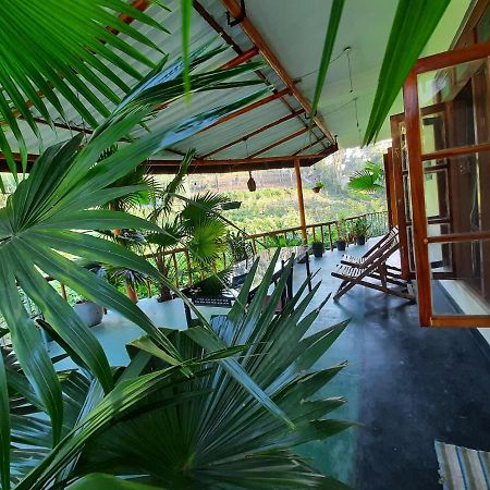 Serenity Homestay エッラ エクステリア 写真