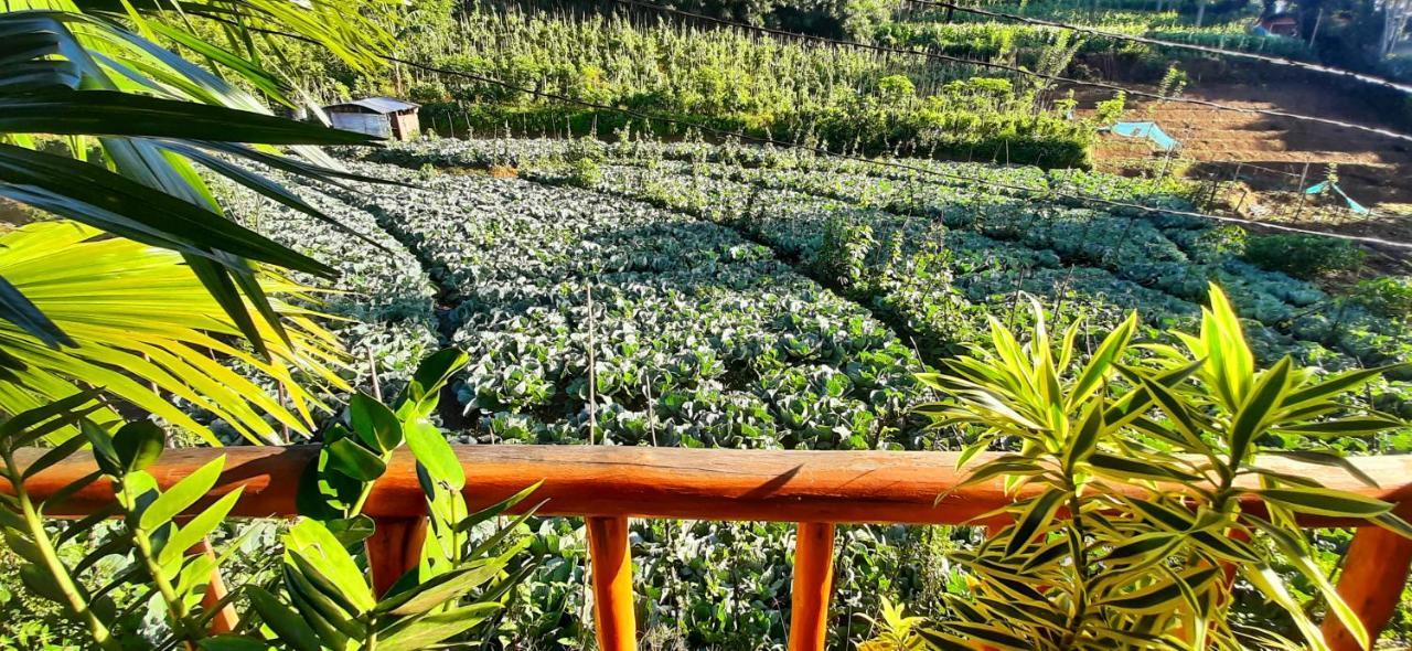 Serenity Homestay エッラ エクステリア 写真
