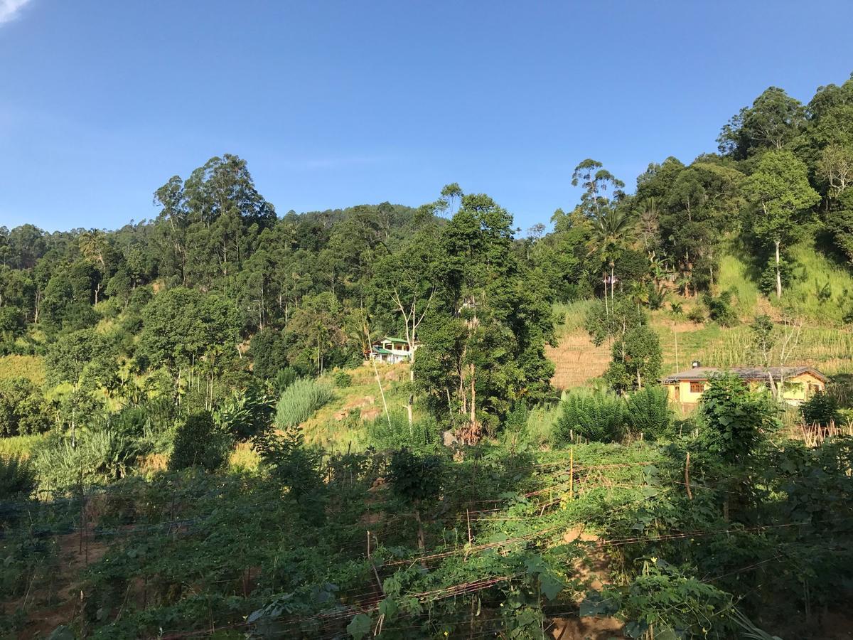 Serenity Homestay エッラ エクステリア 写真